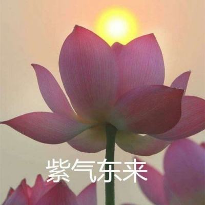 封妖修真手游下载